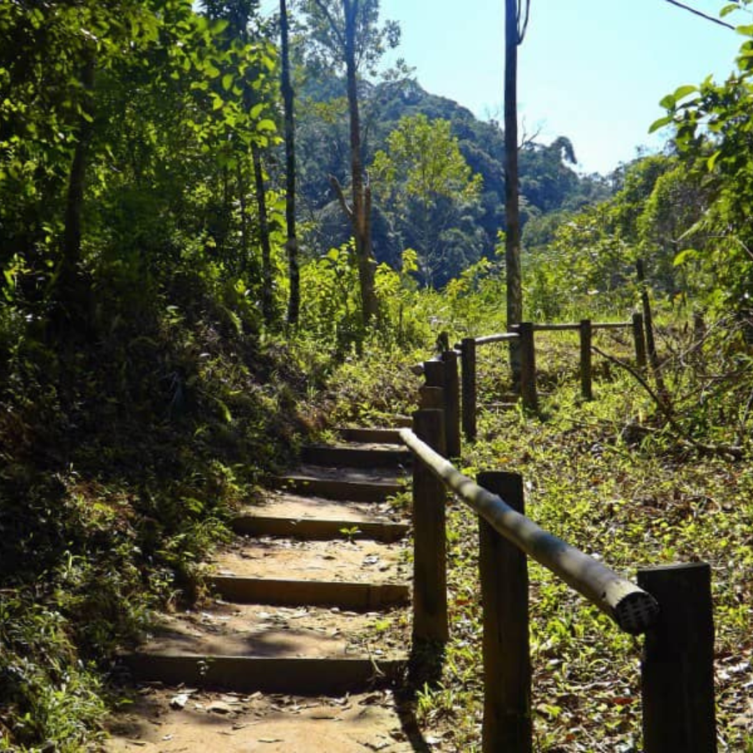 Fazer trilhas leves até praias escondidas e pontos de mergulho.